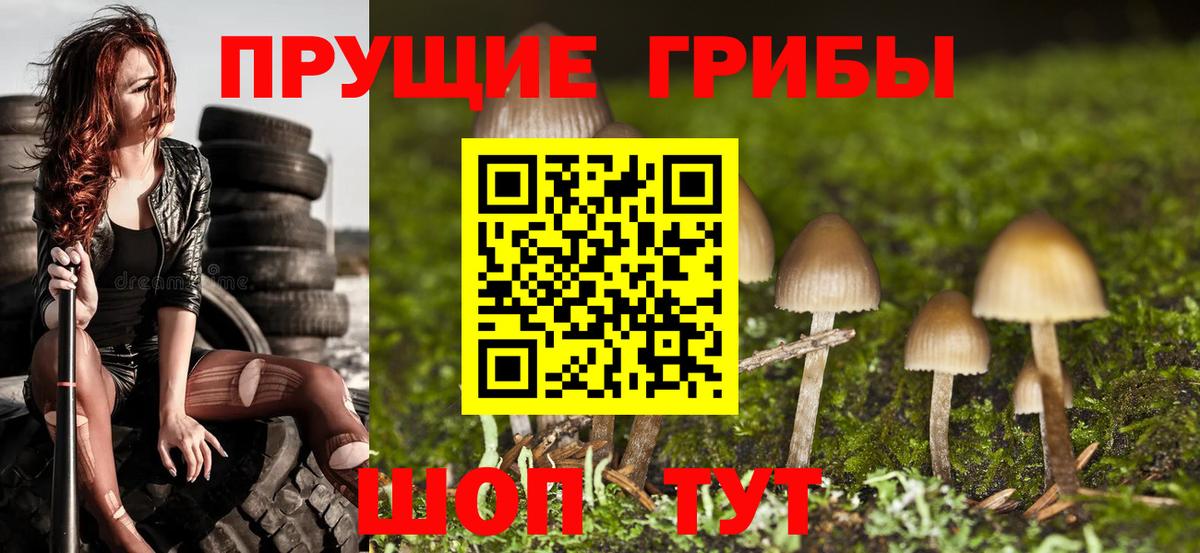 сколько стоит  Галлюциногенные грибы мухоморы  Вход с VPN  Краснокаменск  Галлюциногенные грибы ЛСД 